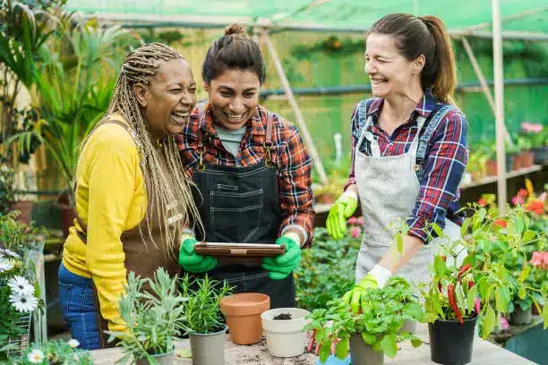 A community garden with diverse crops and people working together  - Urban farming- Agristuff