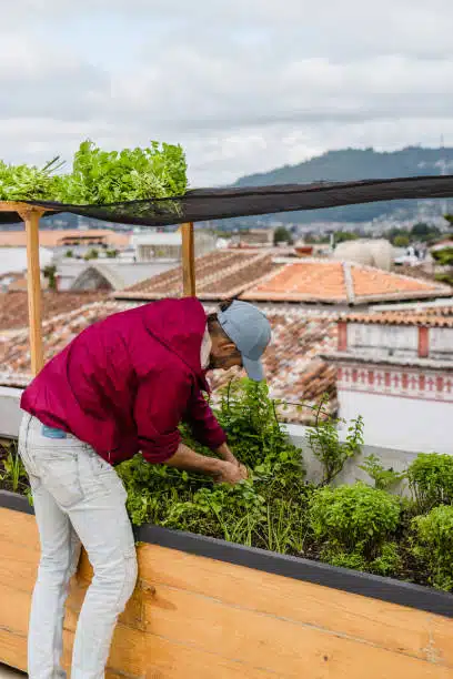 A community vertical farm in an urban setting, with people harvesting fresh produce - vertical farming