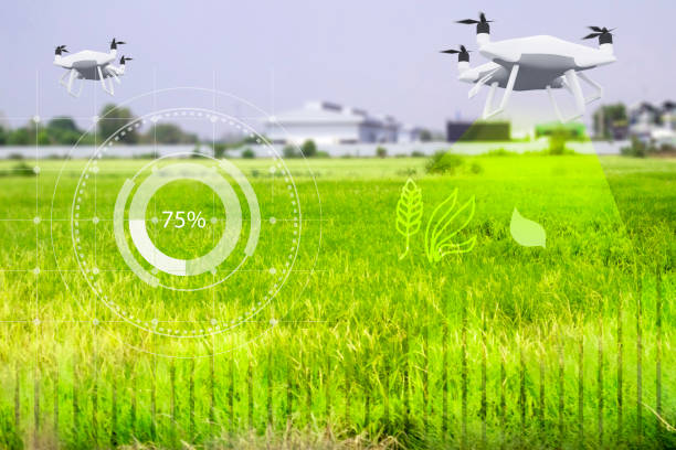 A drone equipped with multispectral sensors flying over a farmland, capturing detailed crop health data.