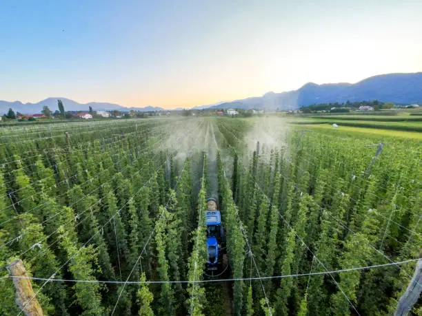  A drone sprayer hovering over a lush green field, with a close-up of its nozzles releasing a fine mist of fertilizer or pesticide - Agristuff