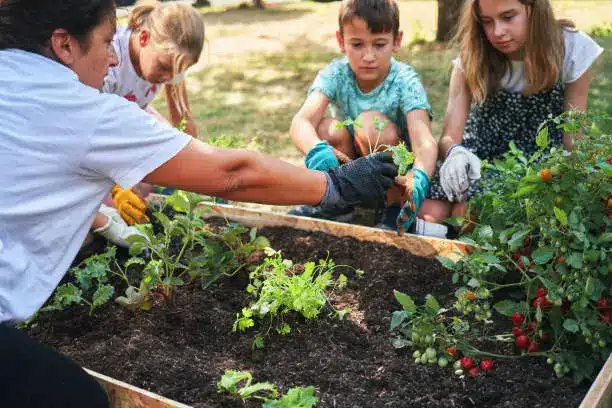 A family harvesting vegetables in a community garden - Urban farming - Agristuff