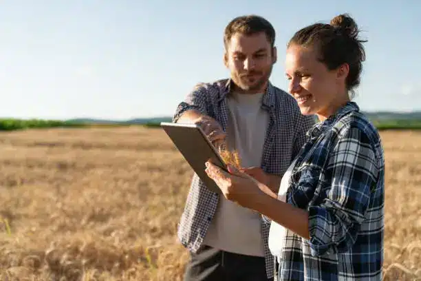 A farmer analyzing data on a laptop in a field - Precision Farming