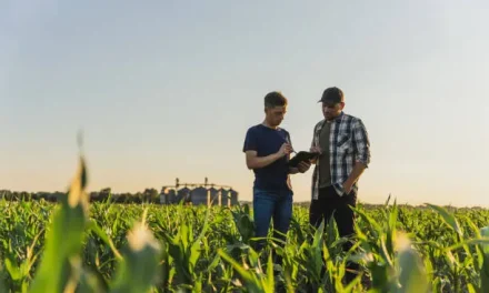 5 Proven Strategies to Boost Farming Production and Profitability