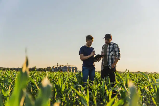 A farmer inspecting crops with a clipboard, showcasing effective farm management in action.