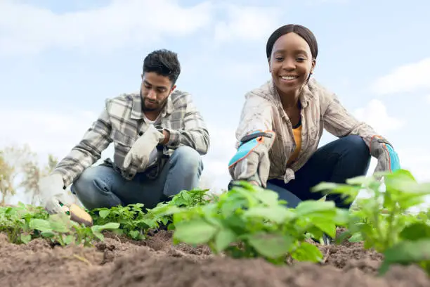 A farmer planting diverse crops in a field, showcasing crop rotation and biodiversity - Agristuff