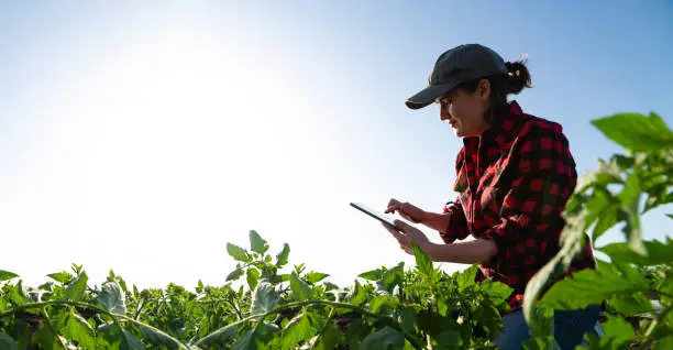 A farmer posting a photo of their farm on social media.