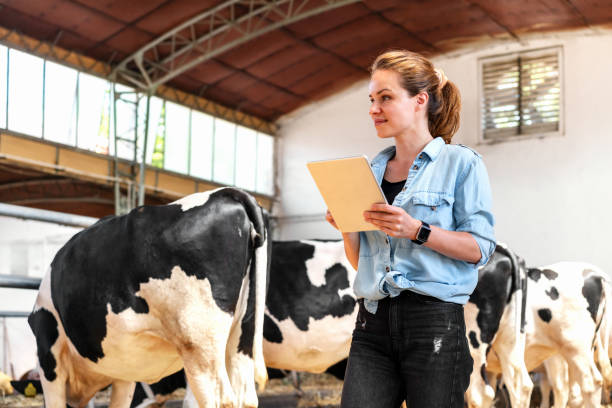 A farmer using a tablet  to monitor livestock health in a modern farming setup - Agristuff