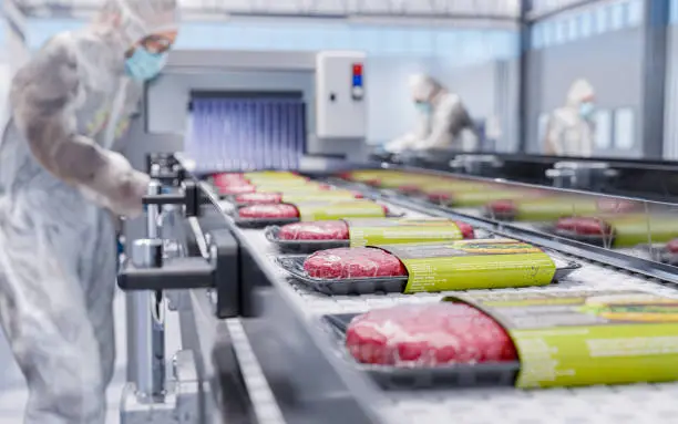 A futuristic food processing facility with modular, zero-waste equipment - Food processing equipment manufacture