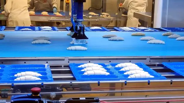 A high-tech automated food processing line with robotic arms handling packaging tasks - Food processing equipment manufacture