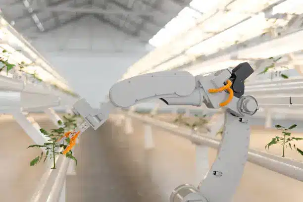 A robotic arm harvesting leafy greens in a vertical farming