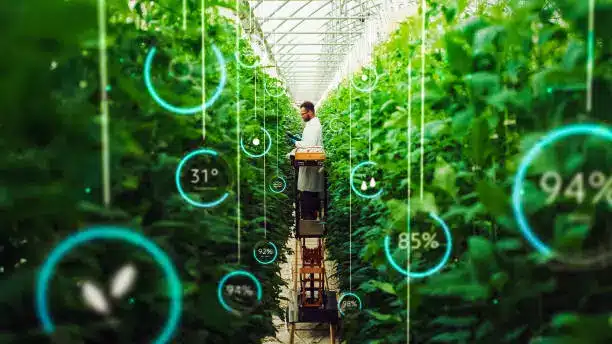 A vertical farm with IoT sensors monitoring plant health - Vertical Farming