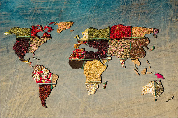 A world map showing population growth trends alongside regions facing food insecurity