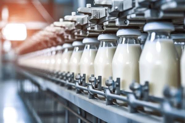 All about dairy production and factories, receiving raw milk, raw materials, packaging materials, and manufacturing methods and equipment