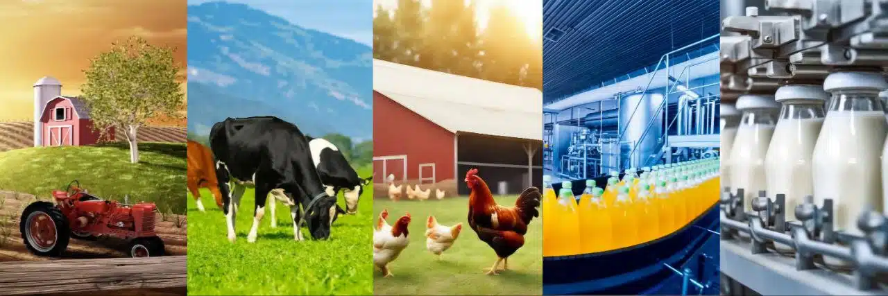 All about Farming, Crops, Livestock, Poultry, Food industry and Dairy industry