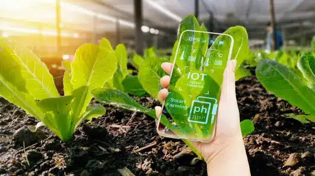 Artificial intelligence IOT smart agriculture farming technology,smart farmer holding mobile,farm background,concept agricultural digital product control,tracking production by science of agriculture stock - food tech