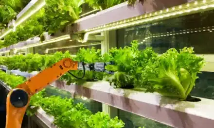 Vertical Farming Technology