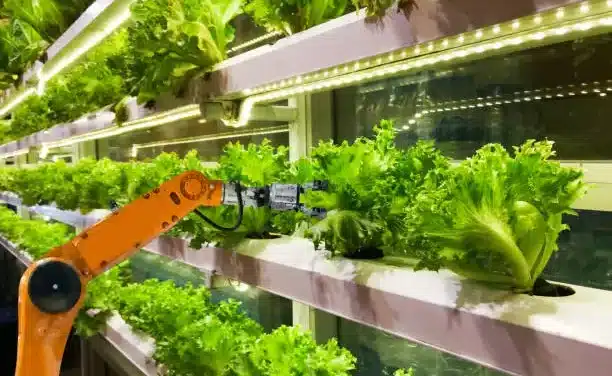 Vertical Farming Technology