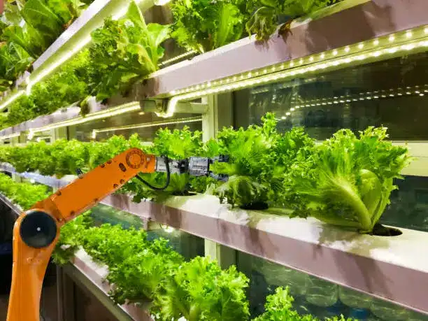 Vertical Farming Technology