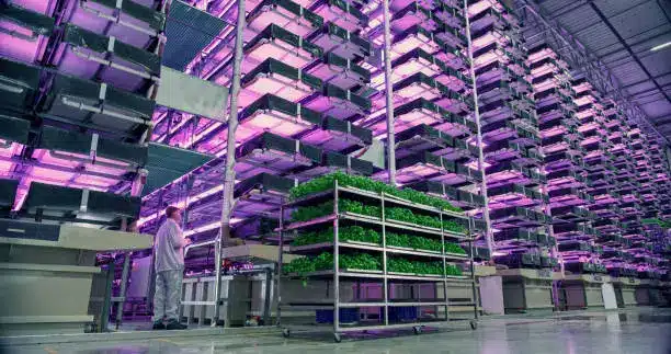 A futuristic vertical farm concept with drones and AI systems managing crop growth - vertical farming