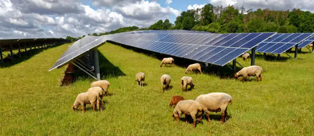 a dairy farm implementing solar panels and water conservation systems to combat climate change.