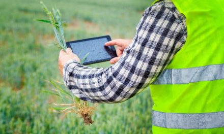 Golden tips to succeed in agribusiness