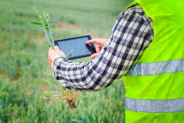 Golden tips to succeed in agribusiness