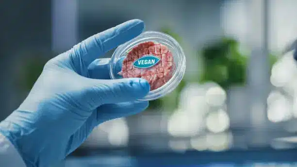  A close-up of lab-grown meat in a petri dish - food manufacturing industry