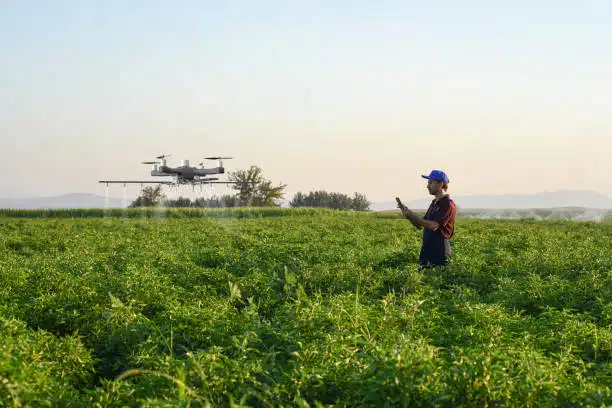 A farmer using a drone to monitor crops in a large field - Agricultural Engineering