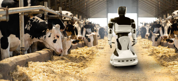 A futuristic dairy farm - Modern Dairy Farming