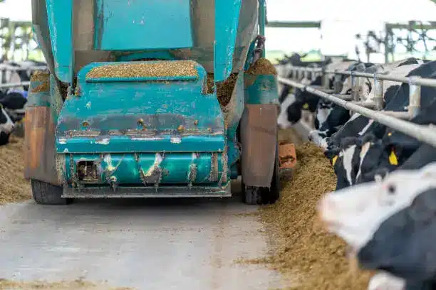 A modern feed mill with advanced equipment, representing technological advancements in feed production - Cattle Feed