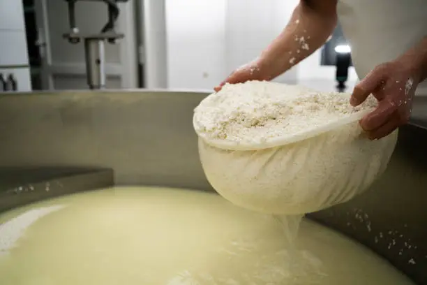 A rustic cheesemaking scene with clay pots and fresh milk, evoking the ancient origins of cheese.