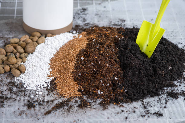 A side-by-side comparison of organic compost and synthetic fertilizer granules - Agriculture Fertilizer