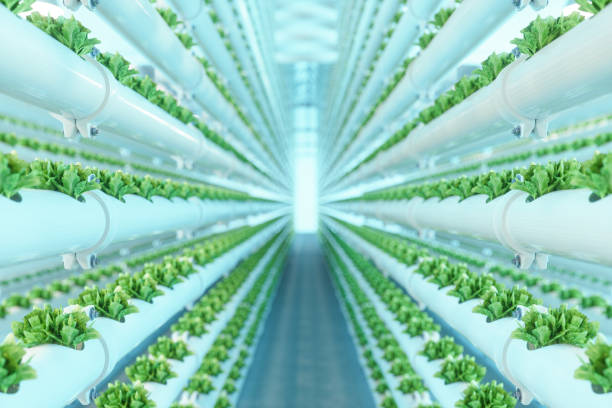 A vertical farm  - Agriculture Science Definition & The Future