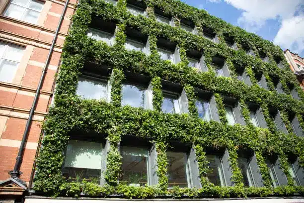 A vertical garden on an apartment wall