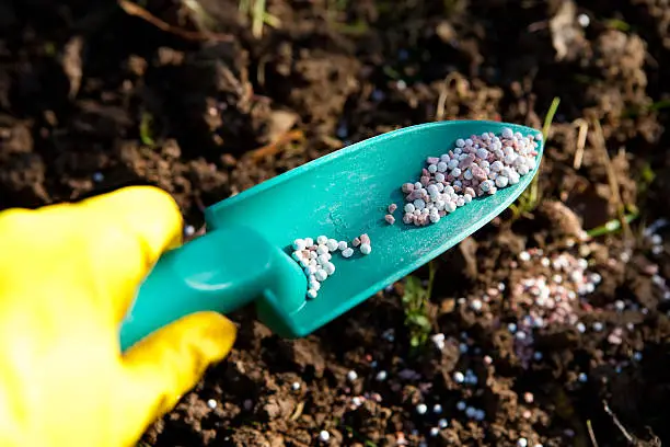 Agriculture Fertilizer | Definition, Types and Uses 