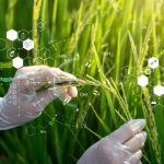 Agriculture Science Definition & Future