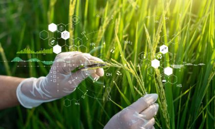 Agriculture Science Definition & Future