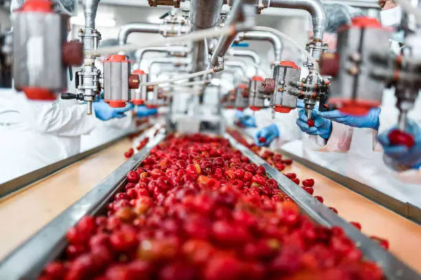 Food manufacturing industry | the future and challenges