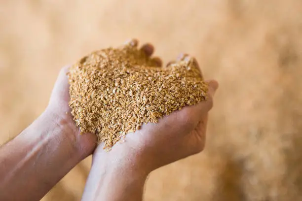 broiler chicken feed with visible grains, soybean meal, and supplements.