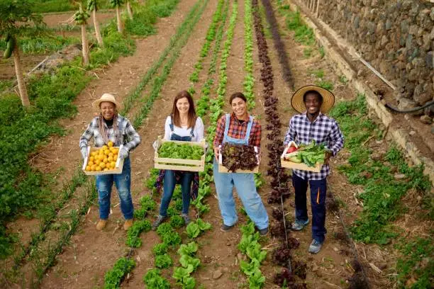 farmers holding a basket of climate-resilient crops - Agriculture Science Definition