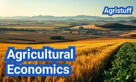 Agricultural Economics: Everything You Need to Know