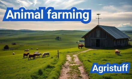 Animal farming: Everything You Need to Know
