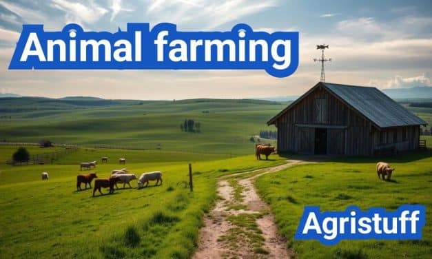 Animal farming: Everything You Need to Know