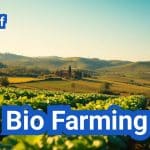 Bio Farming: Everything You Need to Know