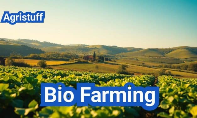 Bio Farming: Everything You Need to Know