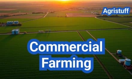 Commercial Farming: Definition, Types, Equipment & Examples