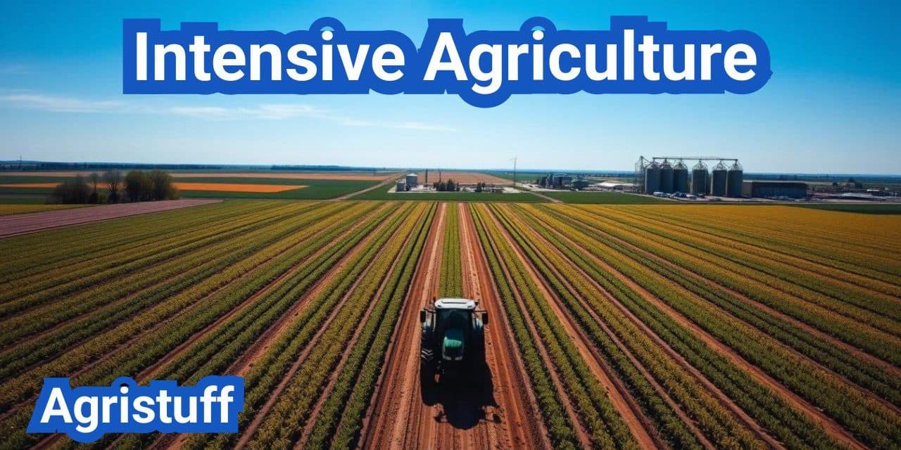 Intensive Agriculture | Definition, Types, Examples & Practices
