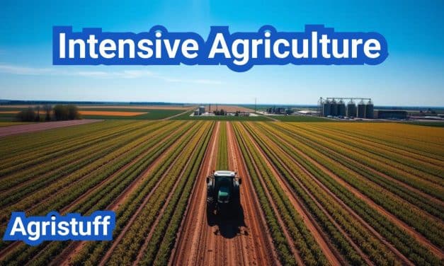 Intensive Agriculture | Definition, Types, Examples & Practices