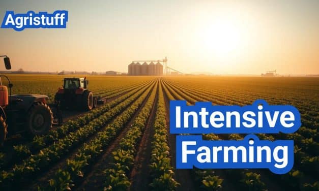Intensive Farming: Everything You Need to Know