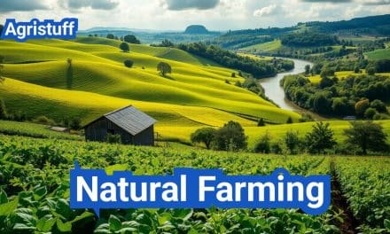 Natural Farming: Everything You Need to Know